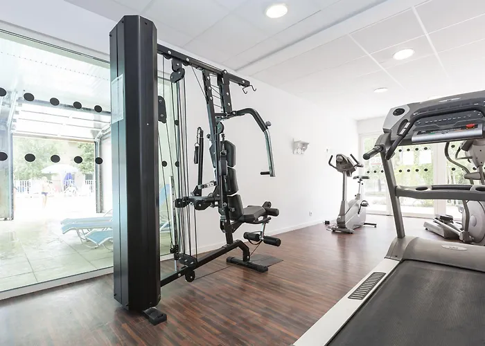 Odalys Le Petit Pont 公寓式酒店 3*