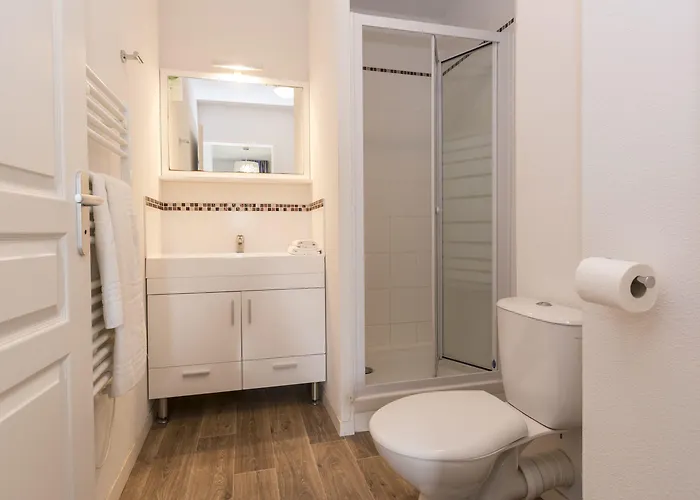 Odalys Le Petit Pont Aparthotel